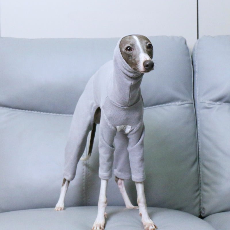Soft Italian Greyhound Dog Turtleneck Onesie
