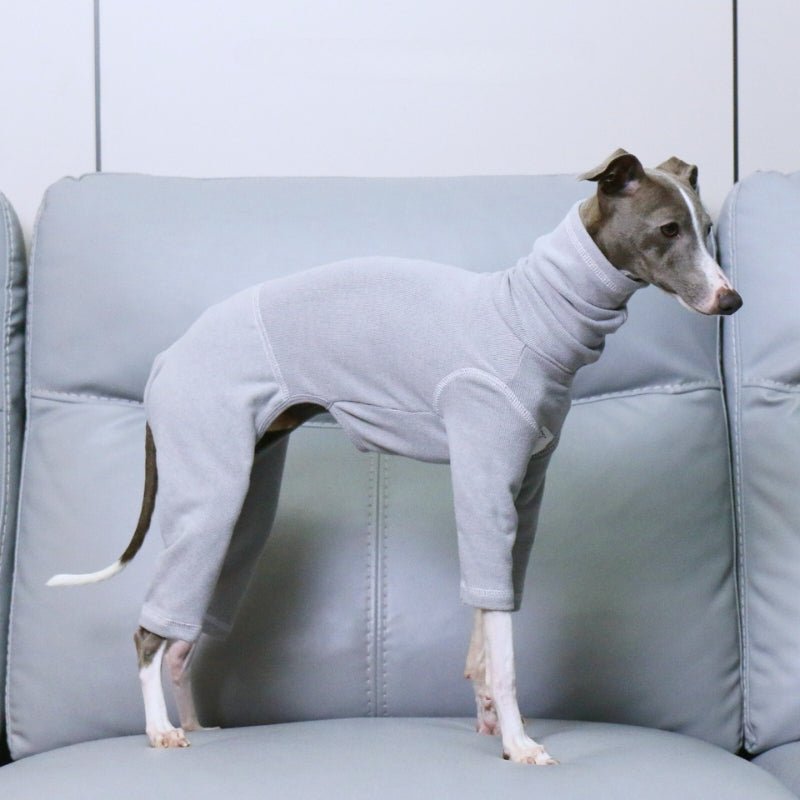 Soft Italian Greyhound Dog Turtleneck Onesie