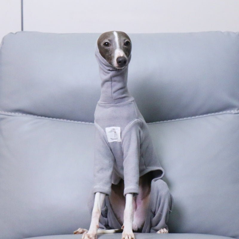 Soft Italian Greyhound Dog Turtleneck Onesie