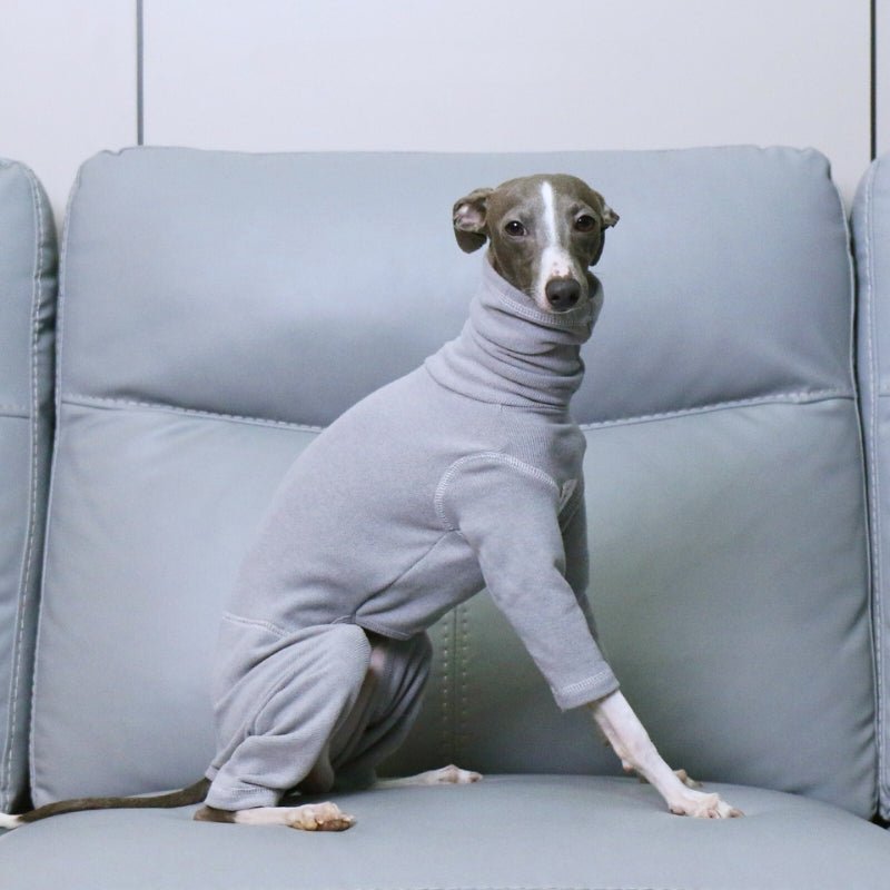 Soft Italian Greyhound Dog Turtleneck Onesie