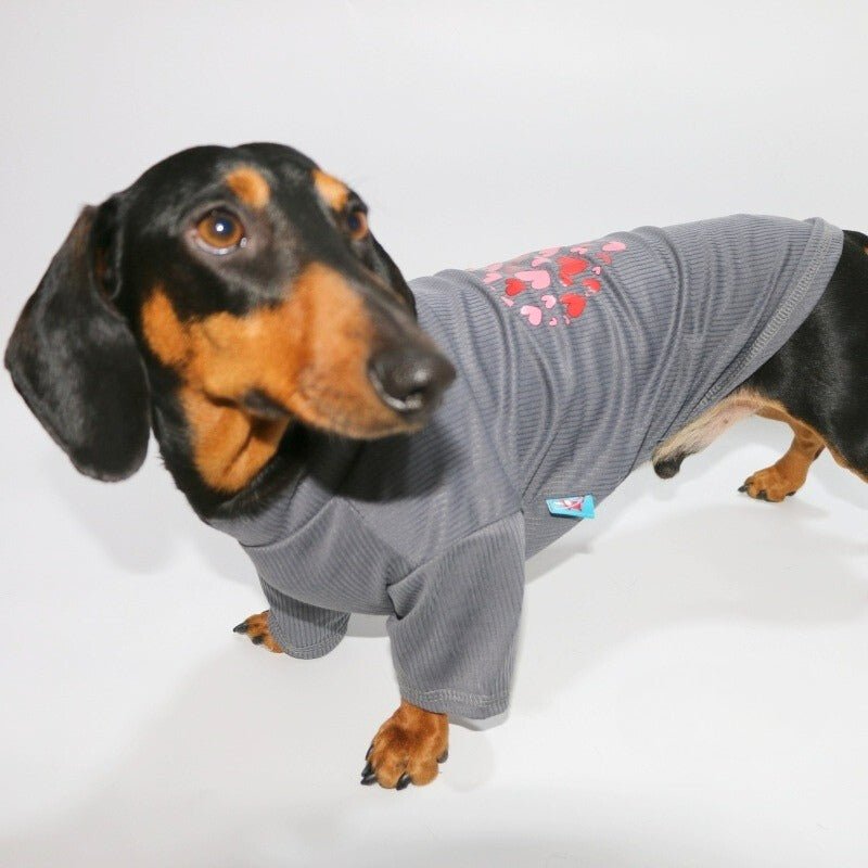 Soft Onesies Dachshund Dog Clothes