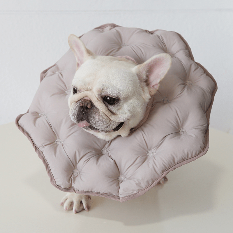 Soft Padded Cotton Dog Recovery Collar