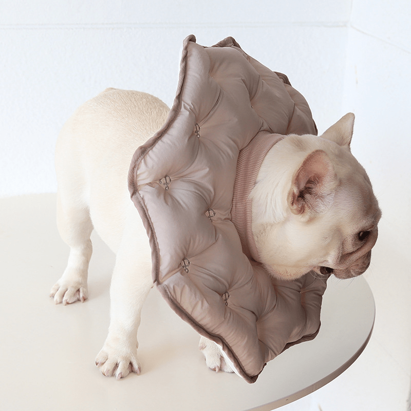Soft Padded Cotton Dog Recovery Collar