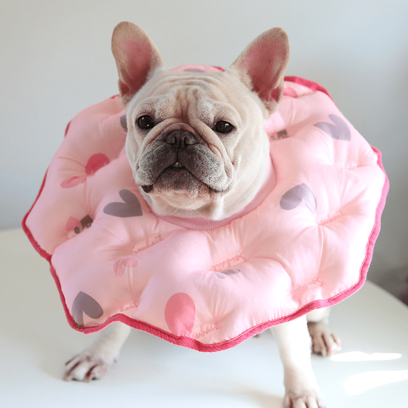 Soft Padded Cotton Dog Recovery Collar