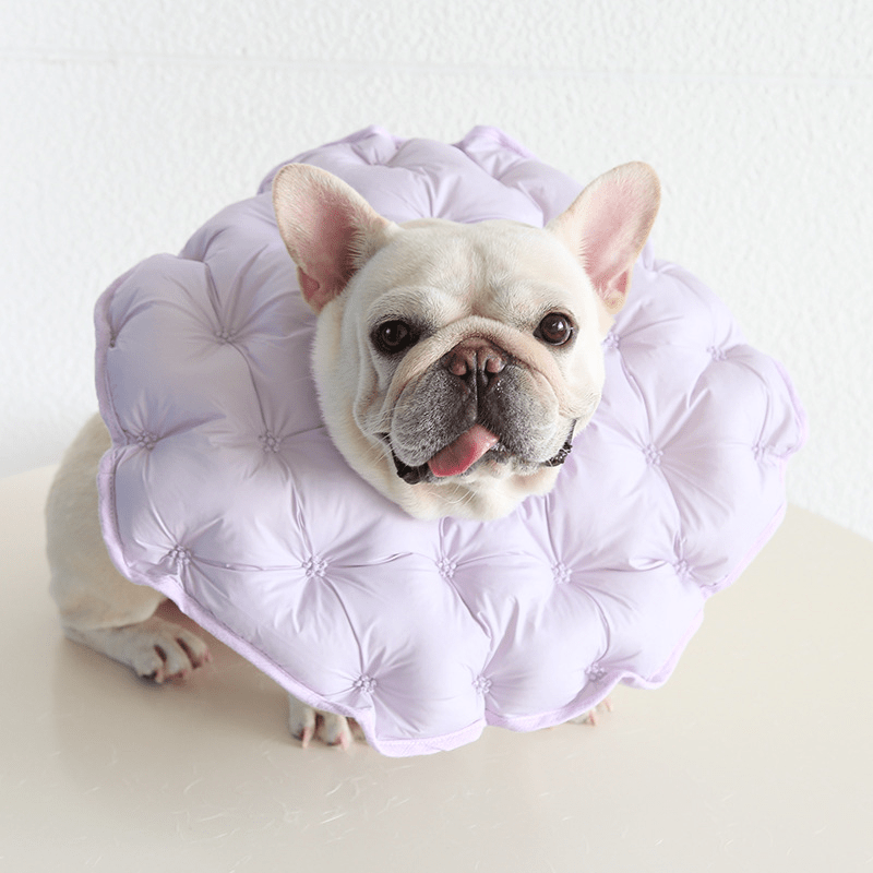 Soft Padded Cotton Dog Recovery Collar