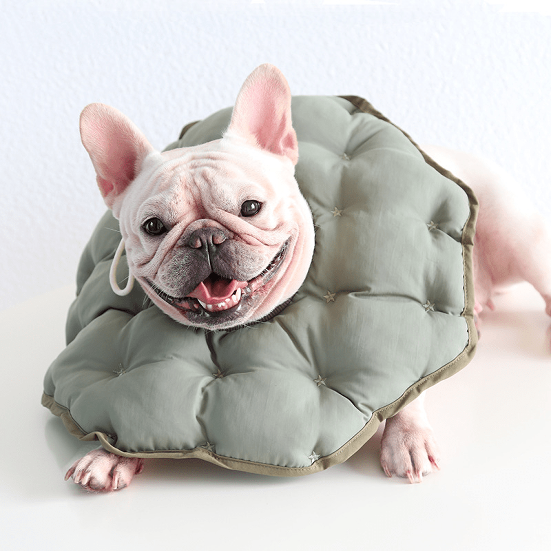 Soft Padded Cotton Dog Recovery Collar