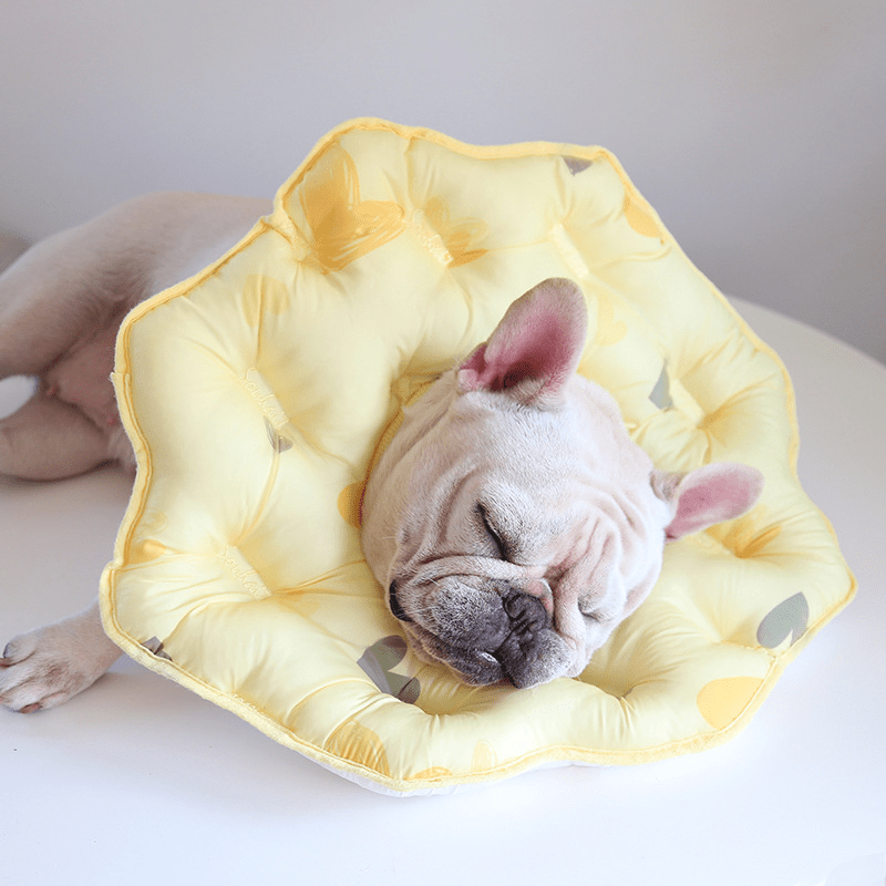 Soft Padded Cotton Dog Recovery Collar