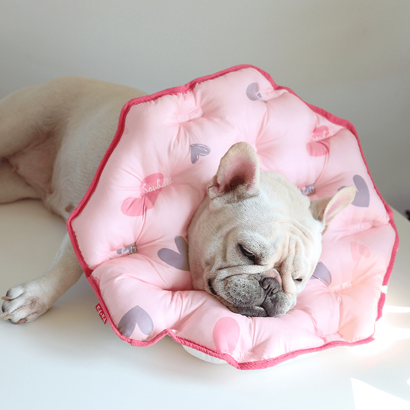 Soft Padded Cotton Dog Recovery Collar