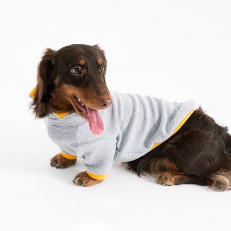 Soft Warm Dachshund Polo Shirt