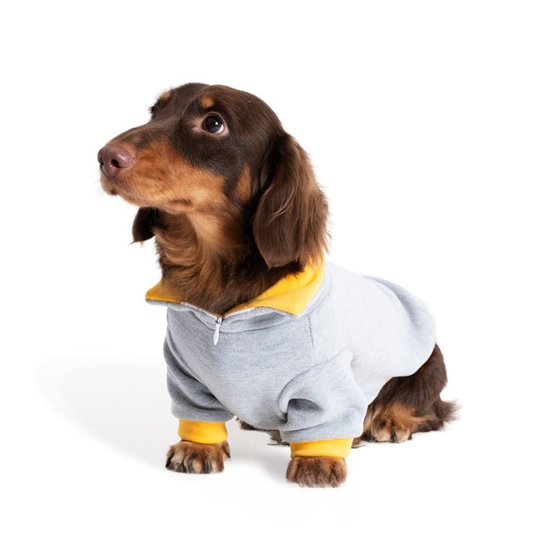 Soft Warm Dachshund Polo Shirt