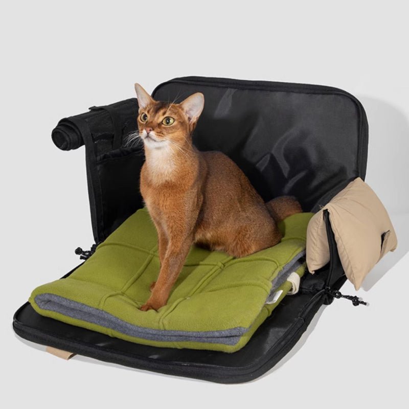 Portable Small Dog Cat Purse Carrier