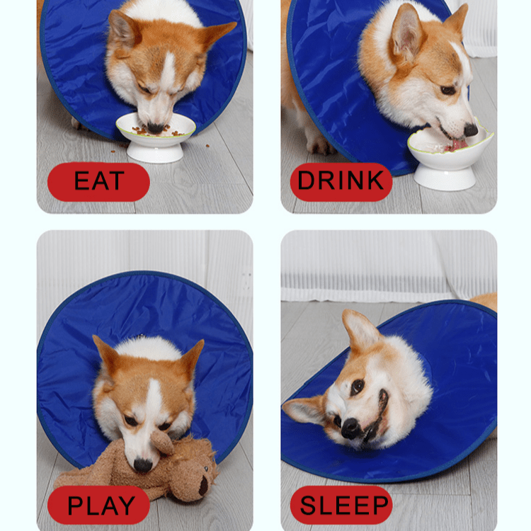 Soft Waterproof Dog Recovery Collar