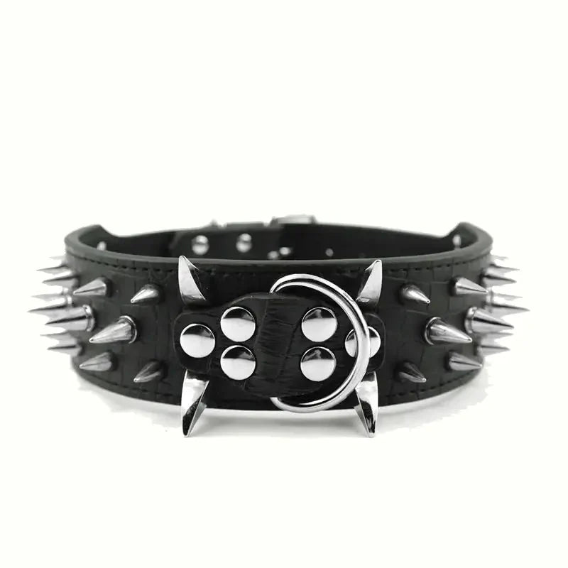 Stylish Sturdy Big Dog Collar