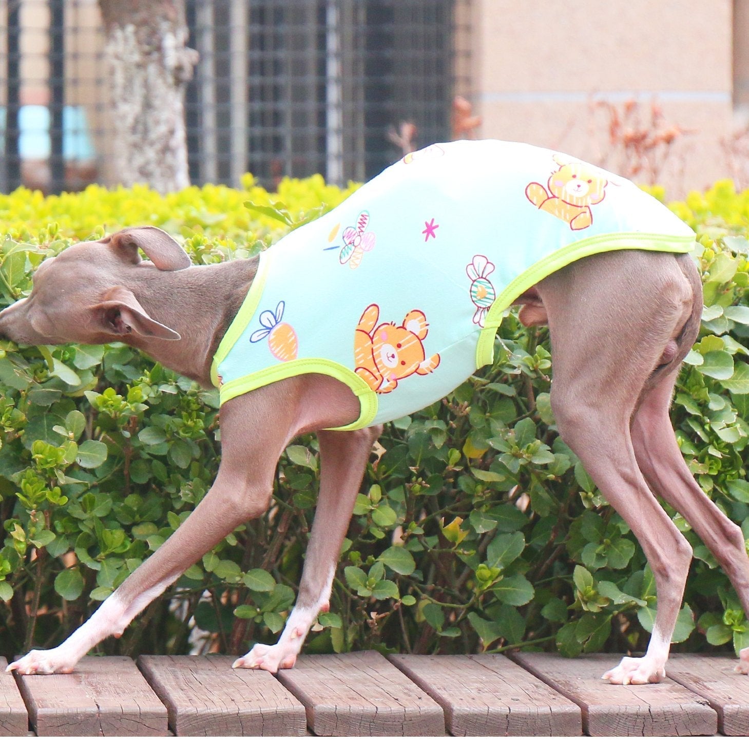 Stretchy Milk Silk Greyhound Tank