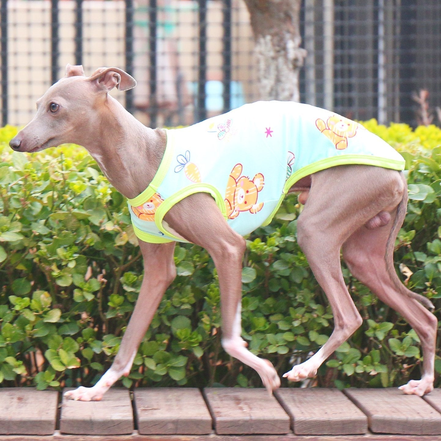 Stretchy Milk Silk Greyhound Tank