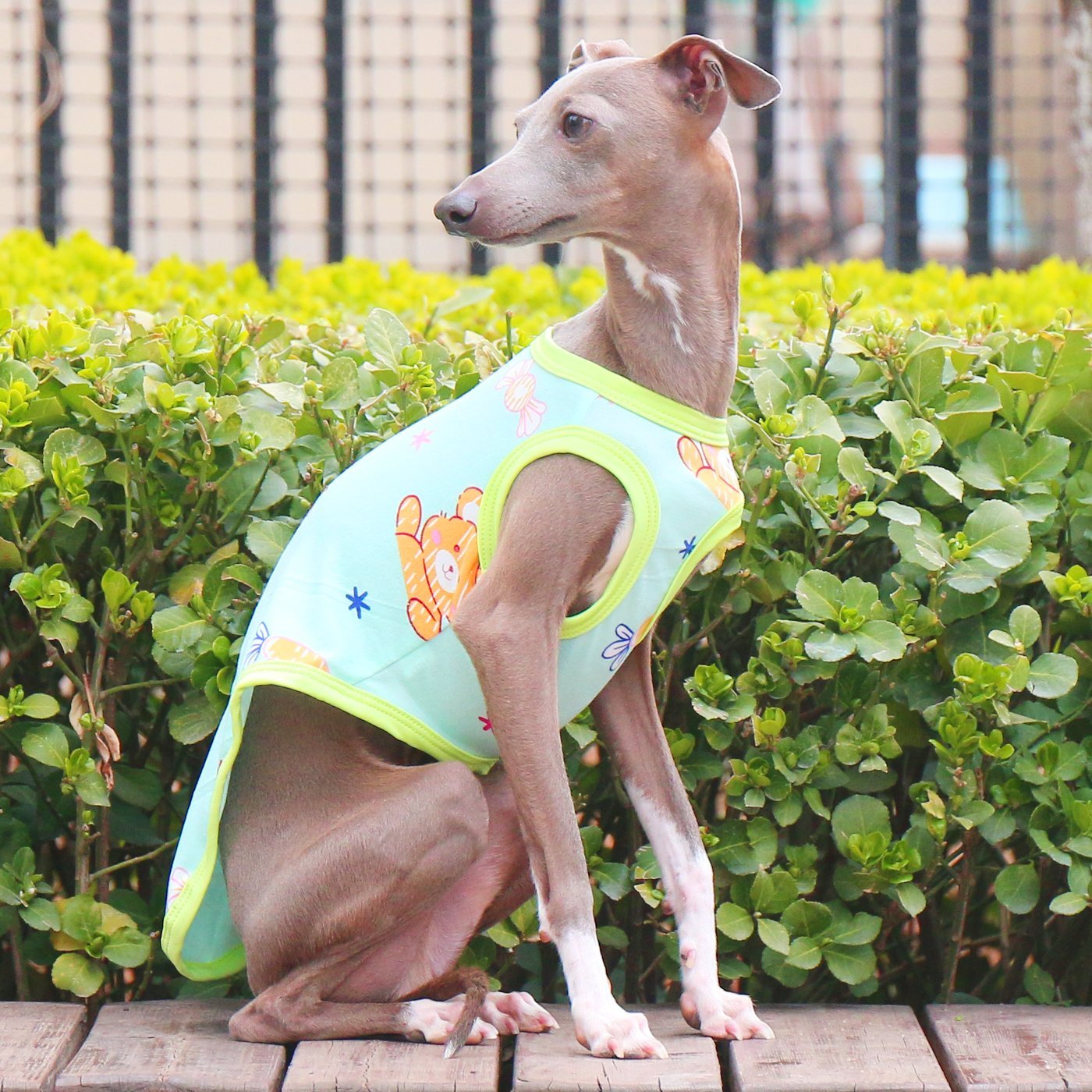 Stretchy Milk Silk Greyhound Tank