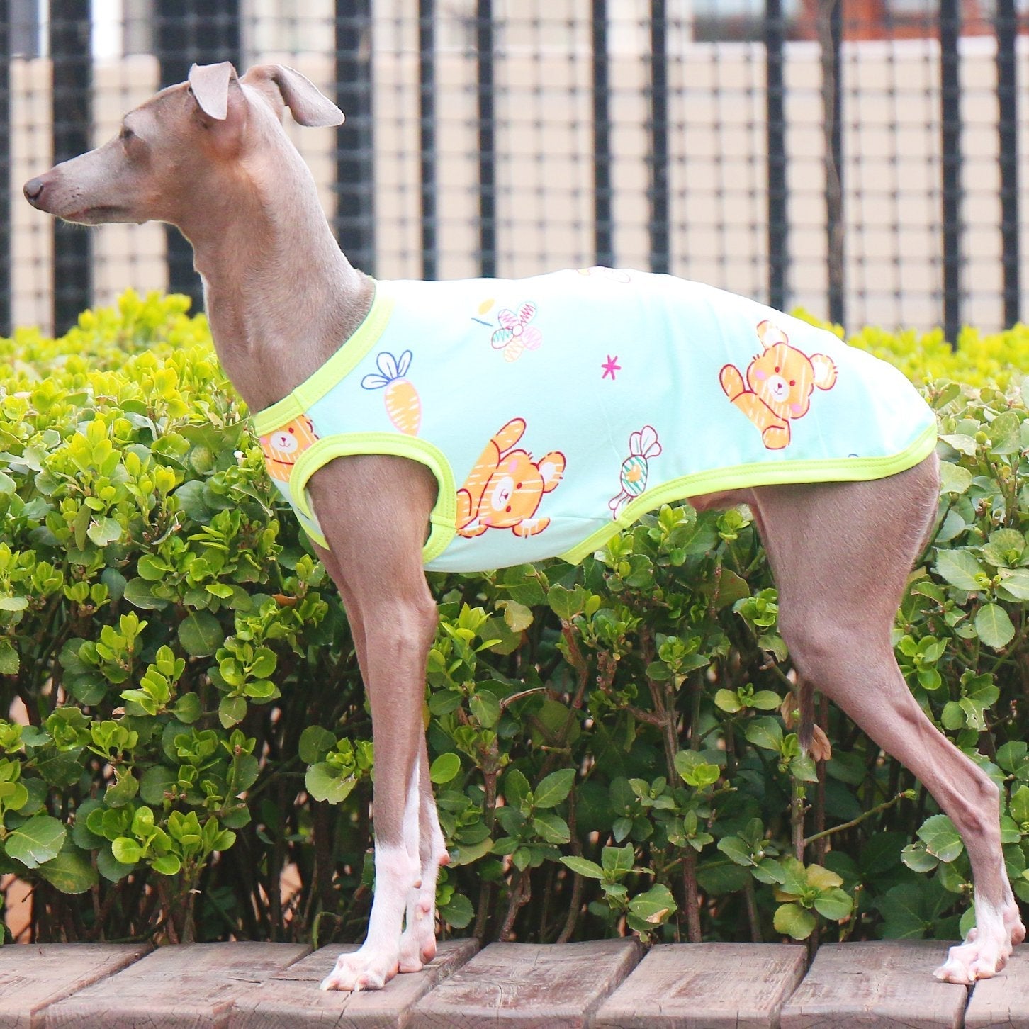 Stretchy Milk Silk Greyhound Tank