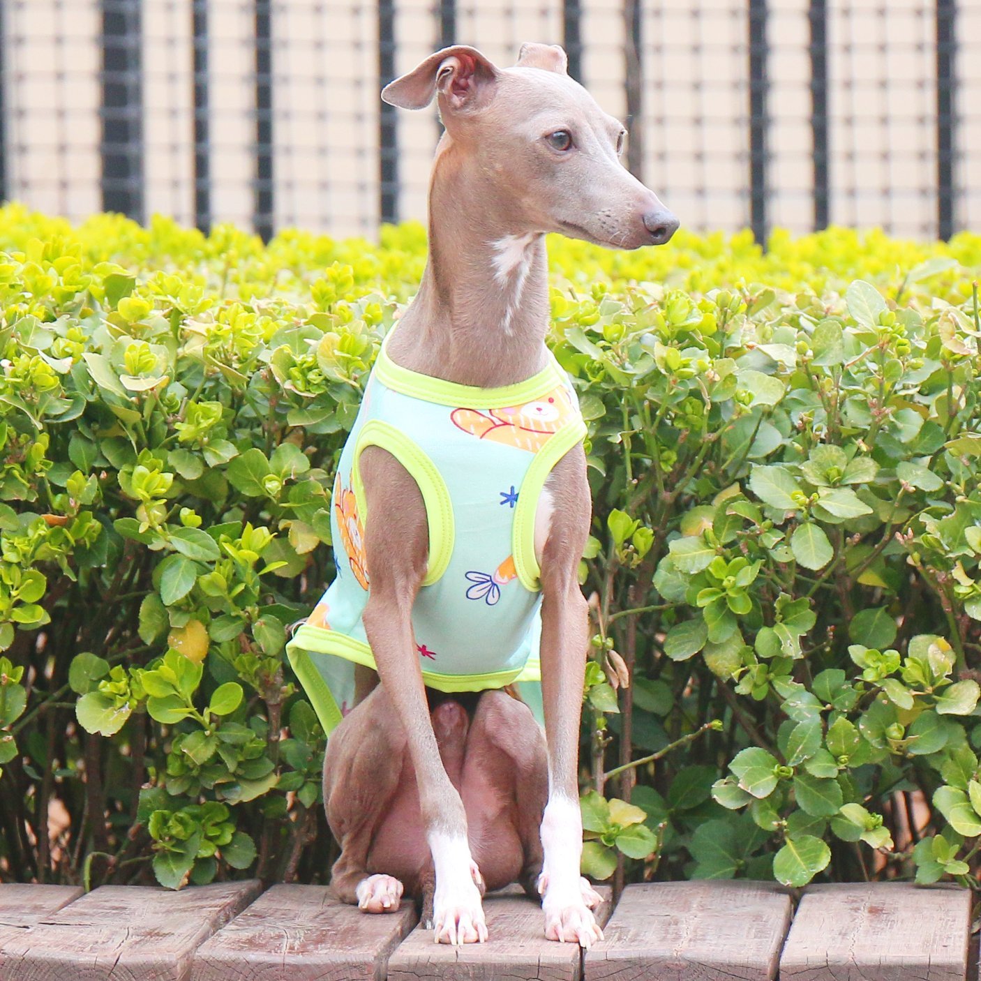 Stretchy Milk Silk Greyhound Tank