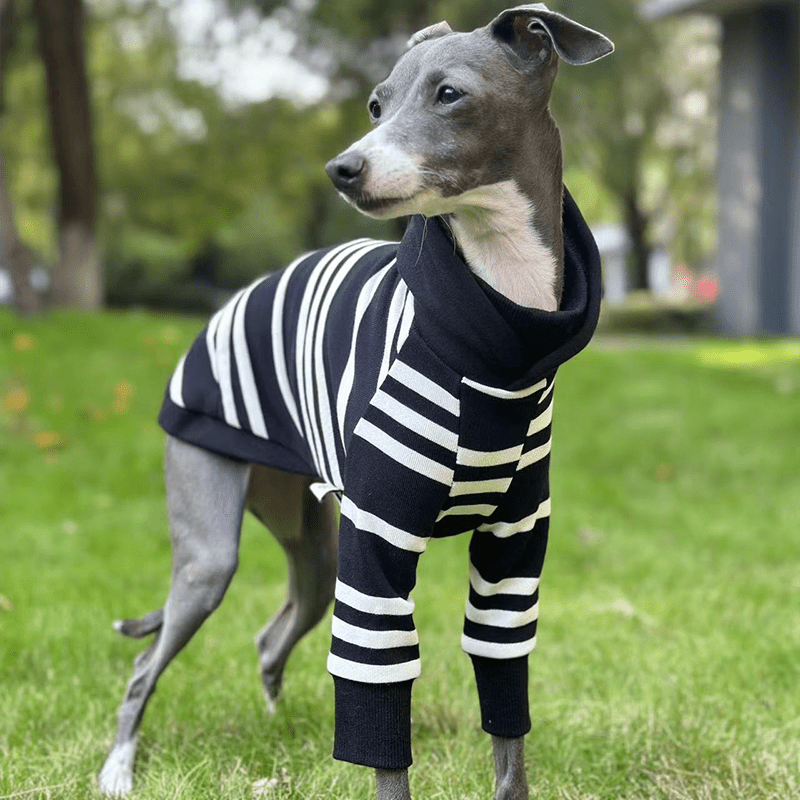 Warm Italian Greyhound Hoodie