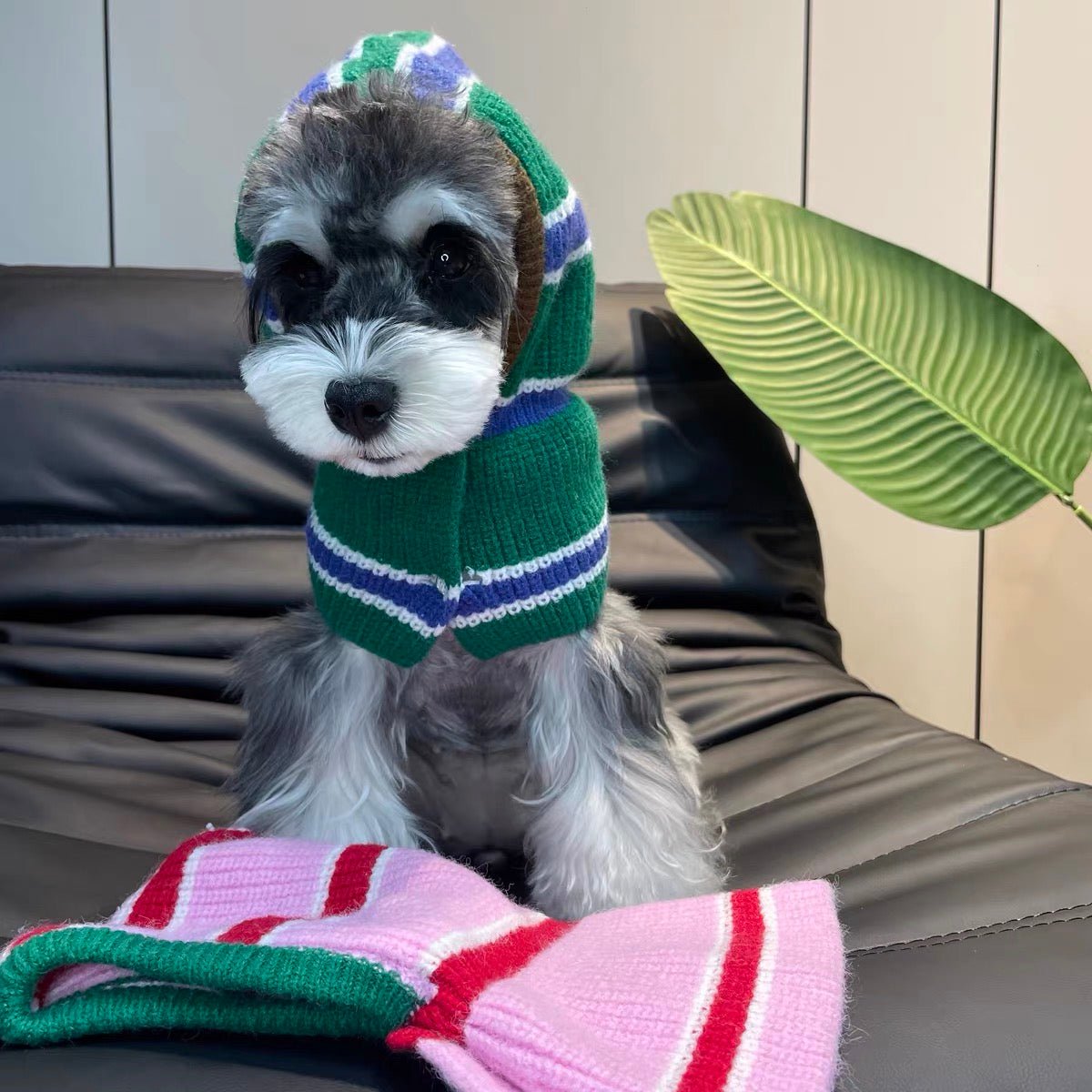 Winter Striped Knitted Dog Cat Hat Scarf