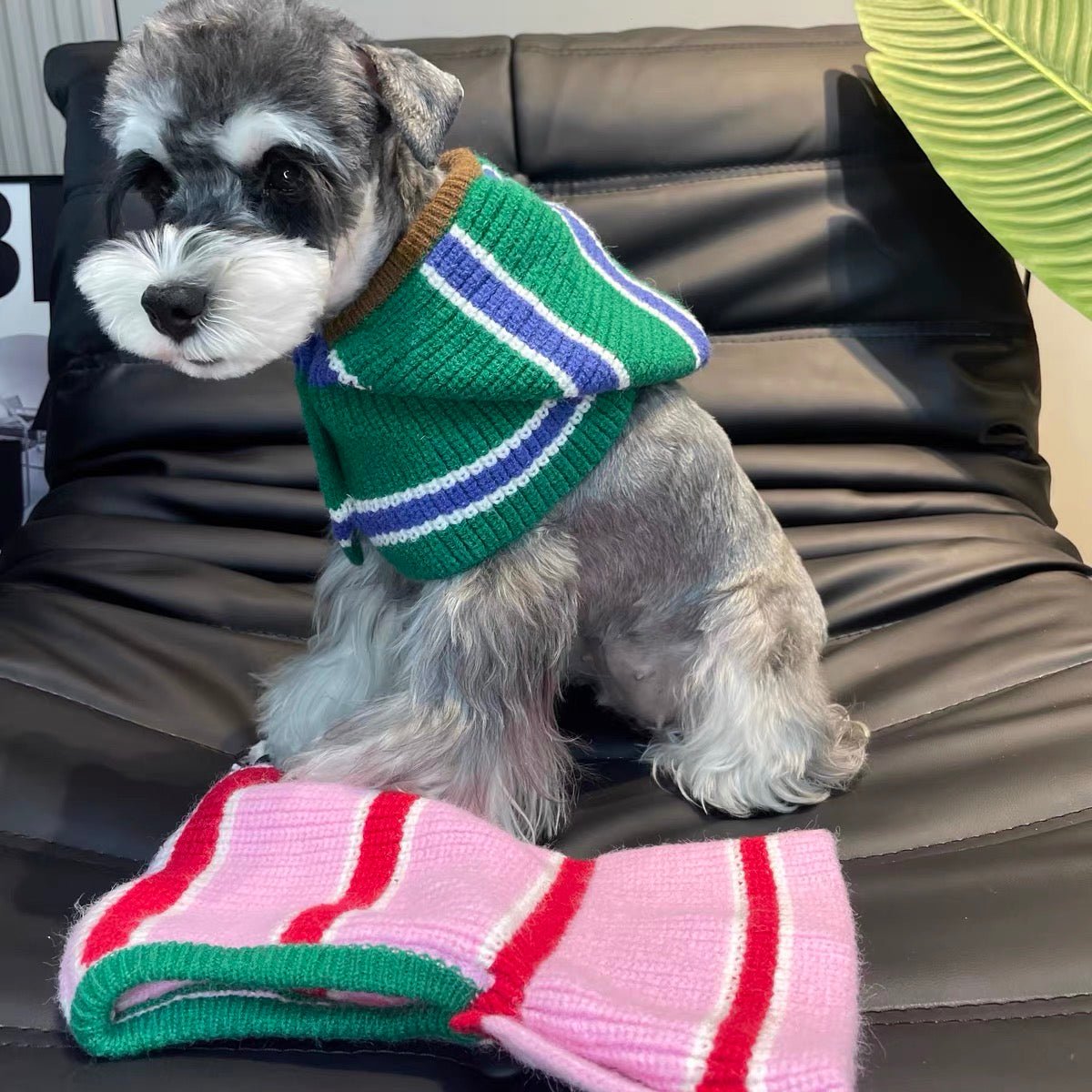 Winter Striped Knitted Dog Cat Hat Scarf