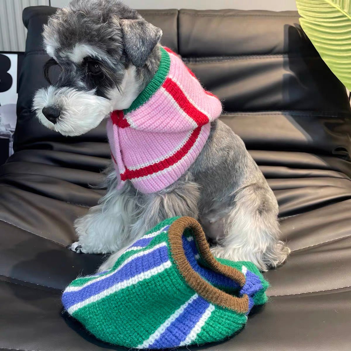 Winter Striped Knitted Dog Cat Hat Scarf