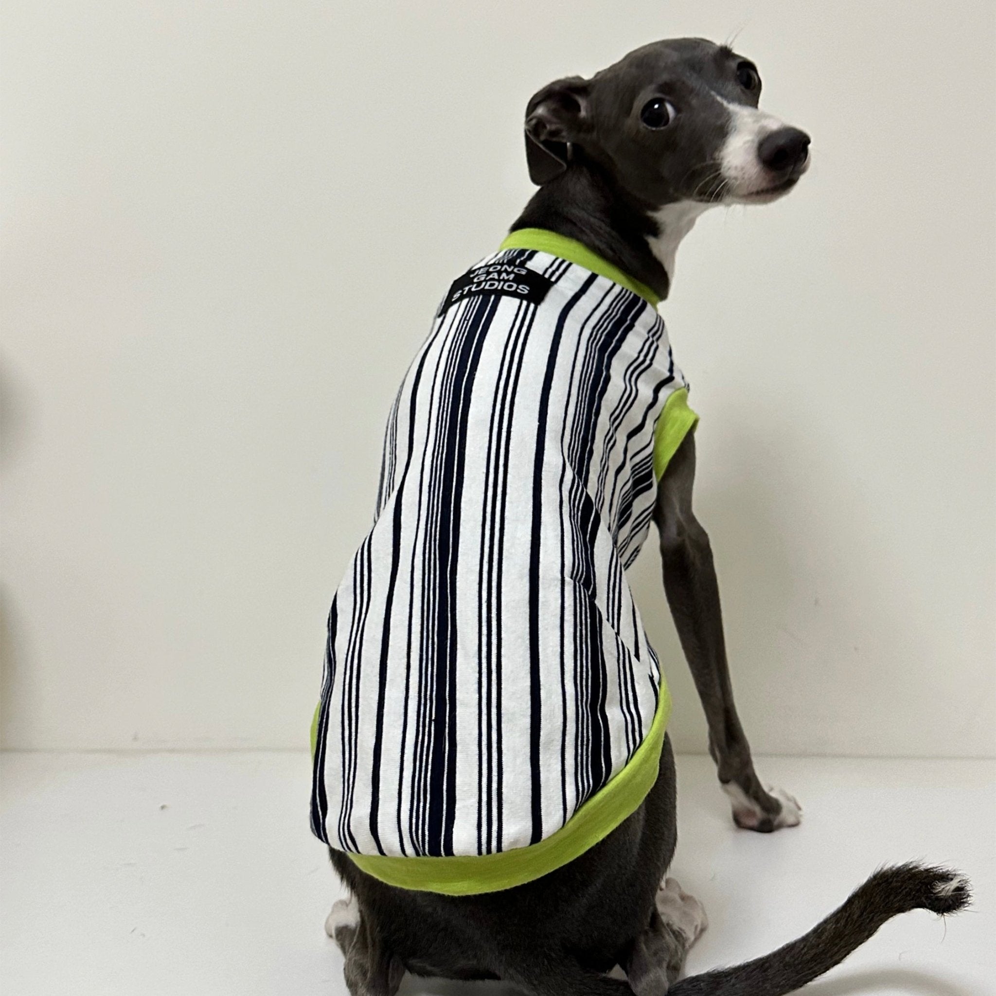 Soft Cotton Italian Greyhound Dog Shirt