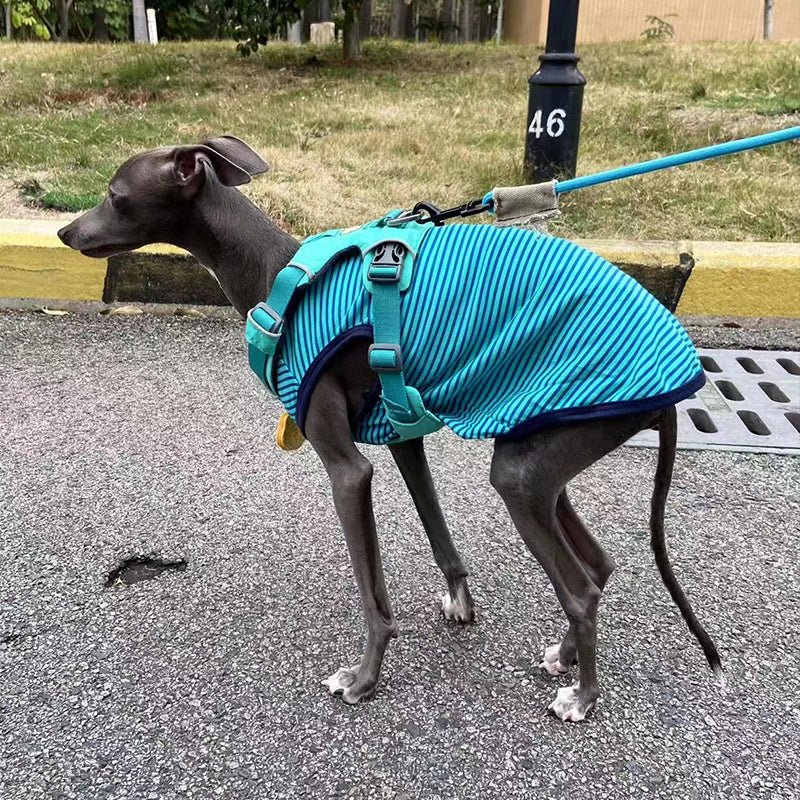 Comfortable Italian Greyhound Tank Top