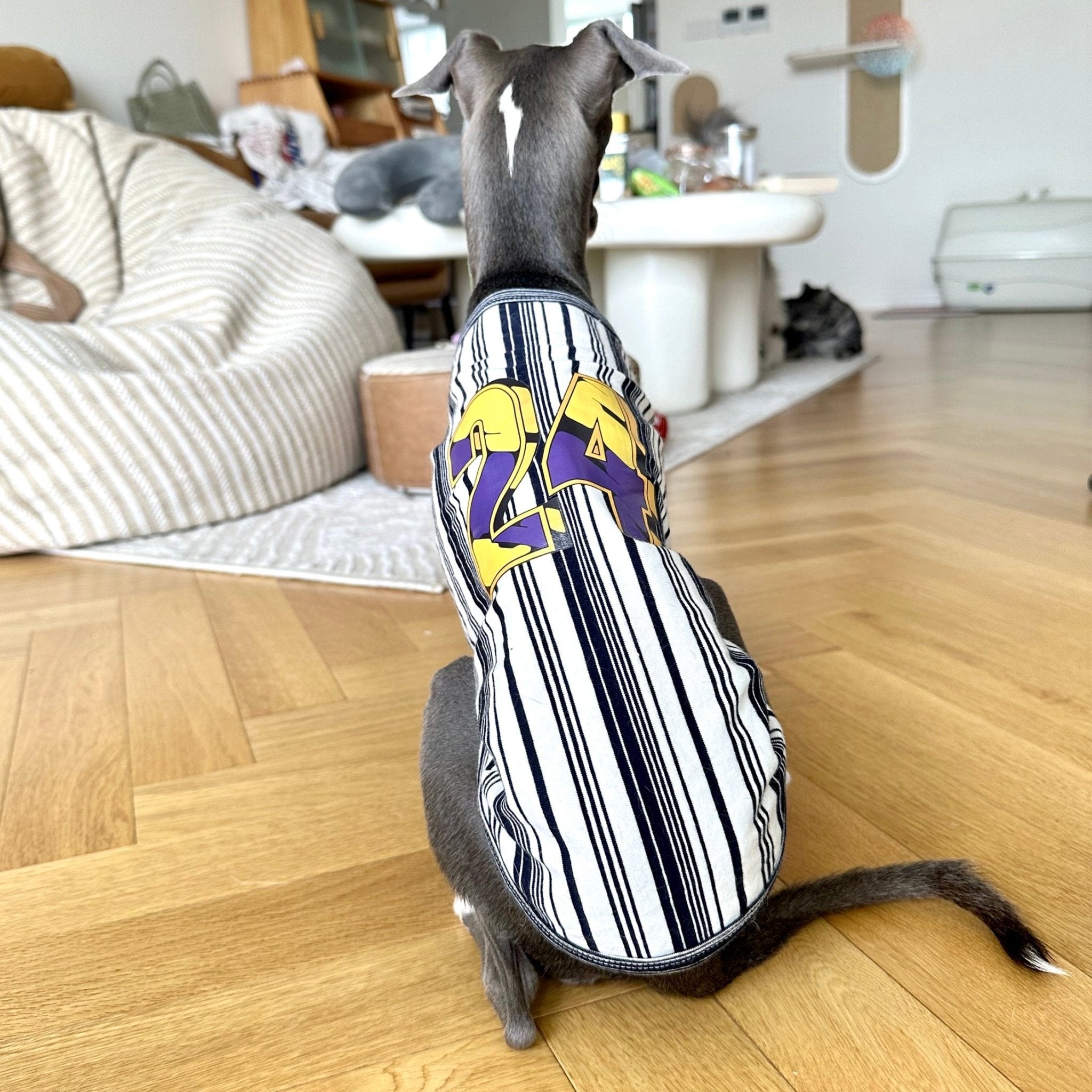 Soft Cotton Italian Greyhound Tank Top