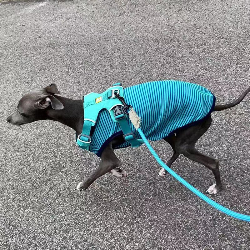 Comfortable Italian Greyhound Tank Top