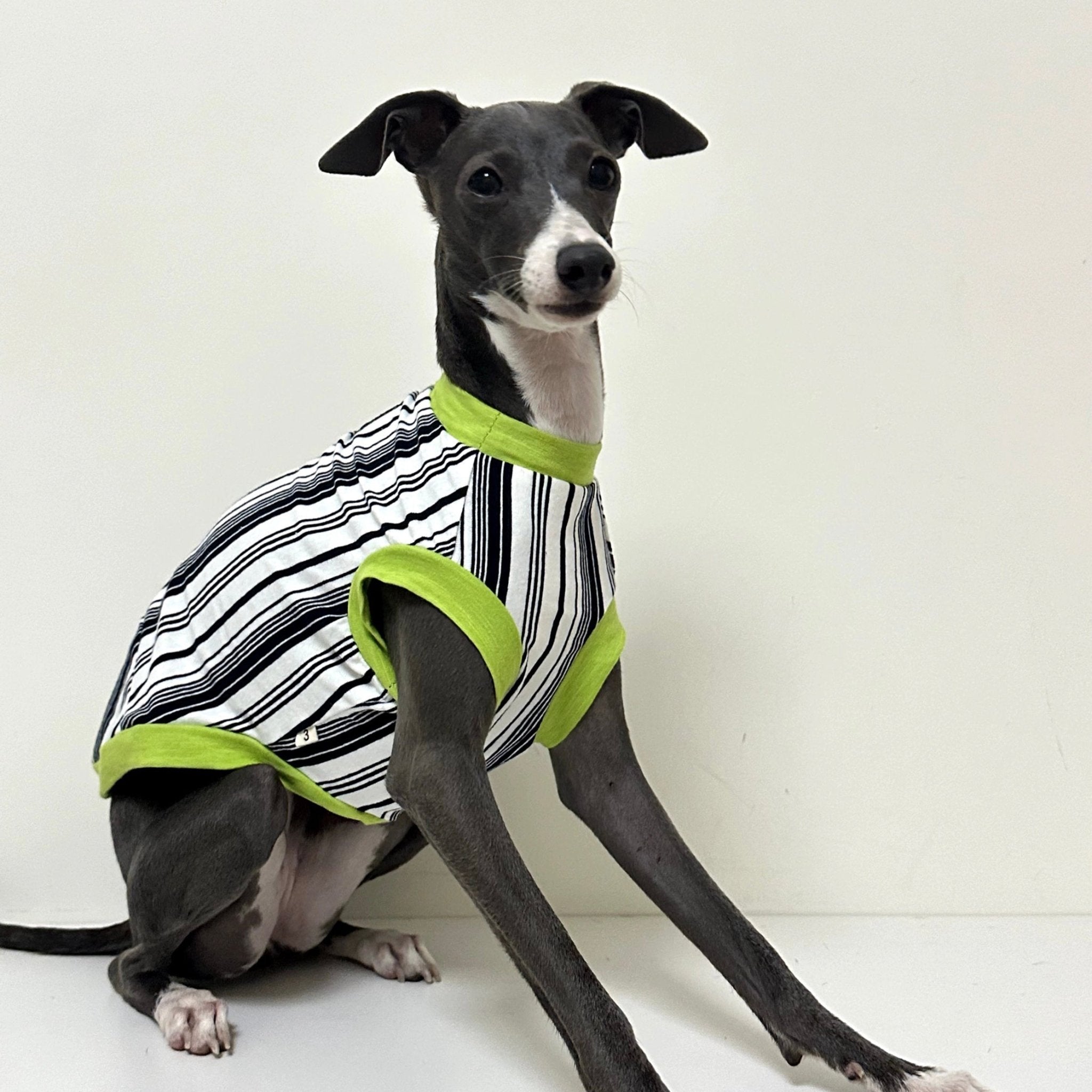 Soft Cotton Italian Greyhound Dog Shirt