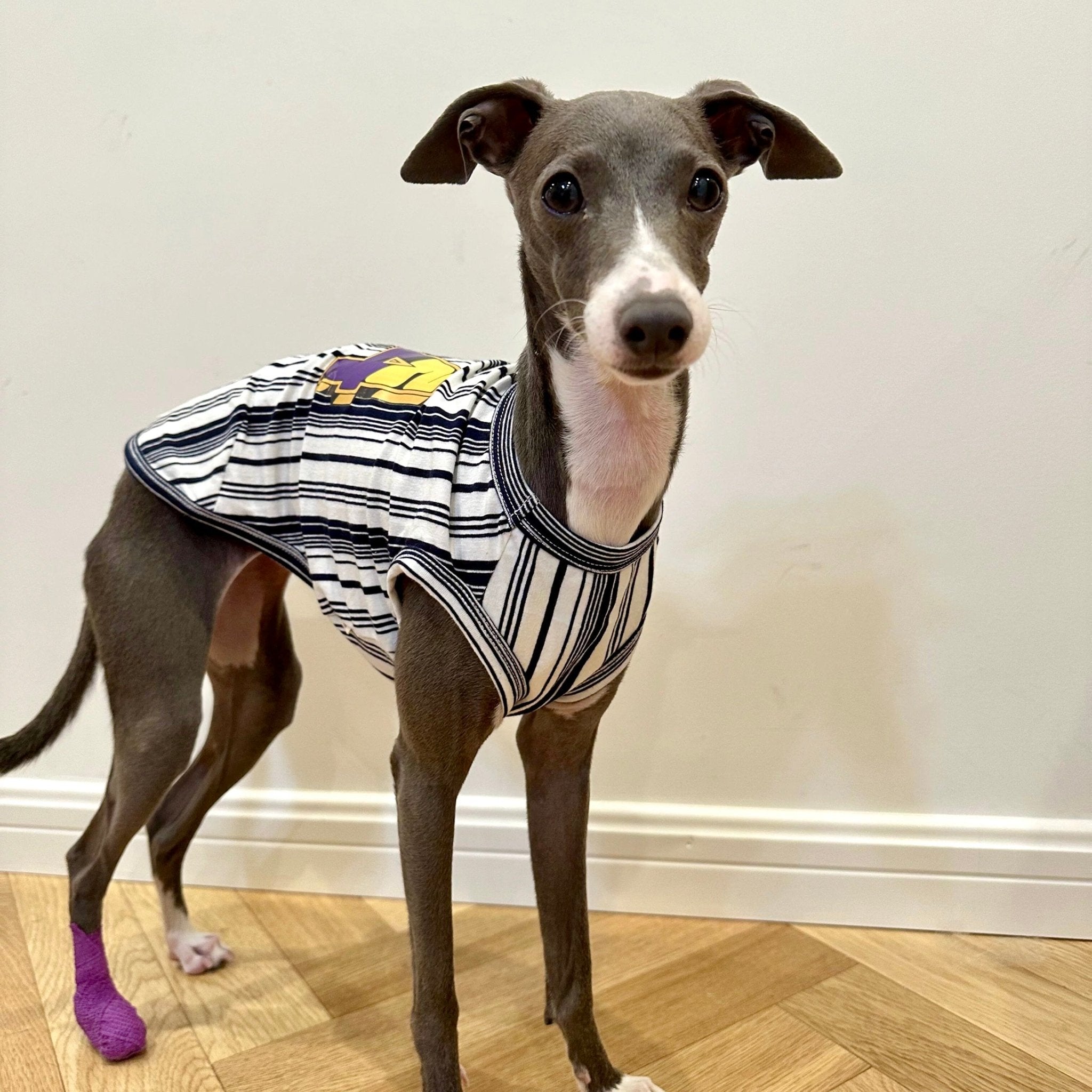 Soft Cotton Italian Greyhound Tank Top