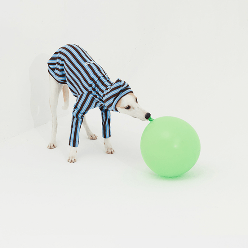 Cozy Italian Greyhound Dog Pajamas