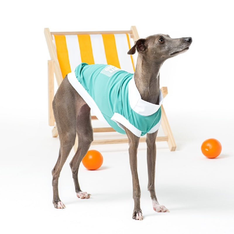 Quick Drying Sun Protection Whippet Dog Clothes