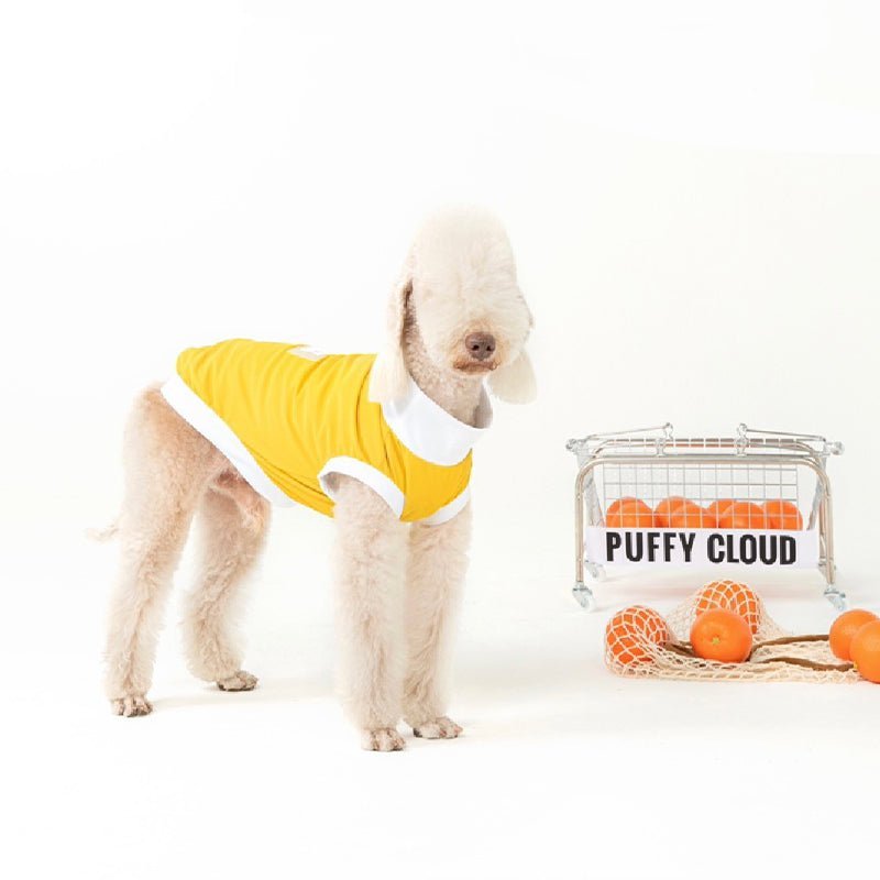 Quick Drying Sun Protection Whippet Dog Clothes