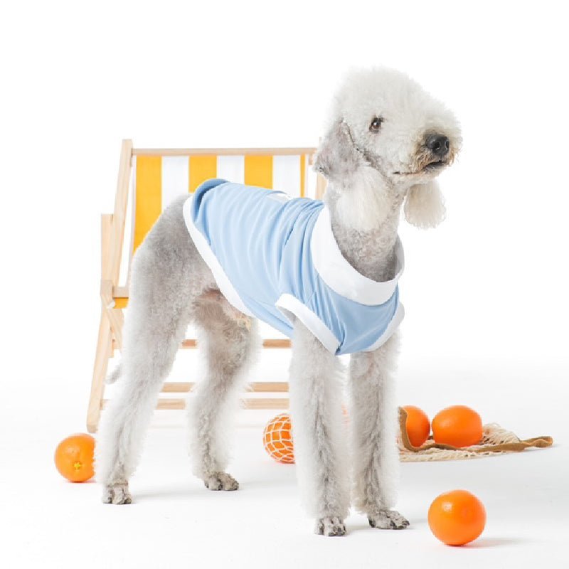 Quick Drying Sun Protection Whippet Dog Clothes