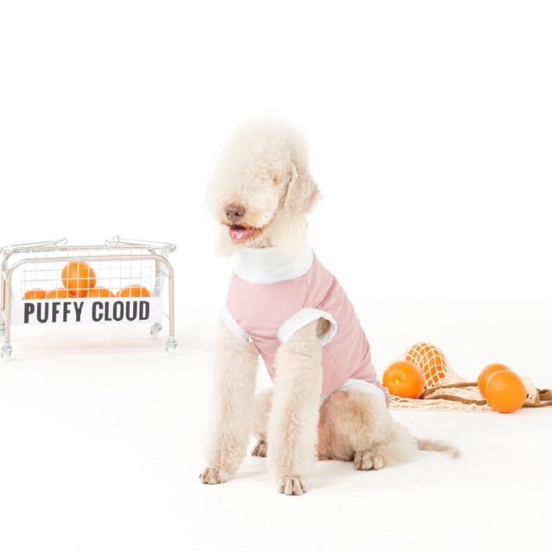 Quick Drying Sun Protection Whippet Dog Clothes