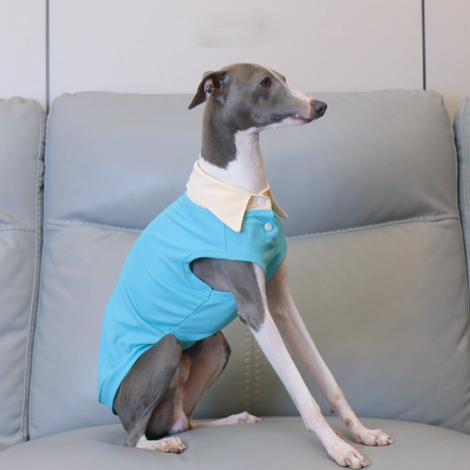 Breathable Summer Italian Greyhound Polo Vest