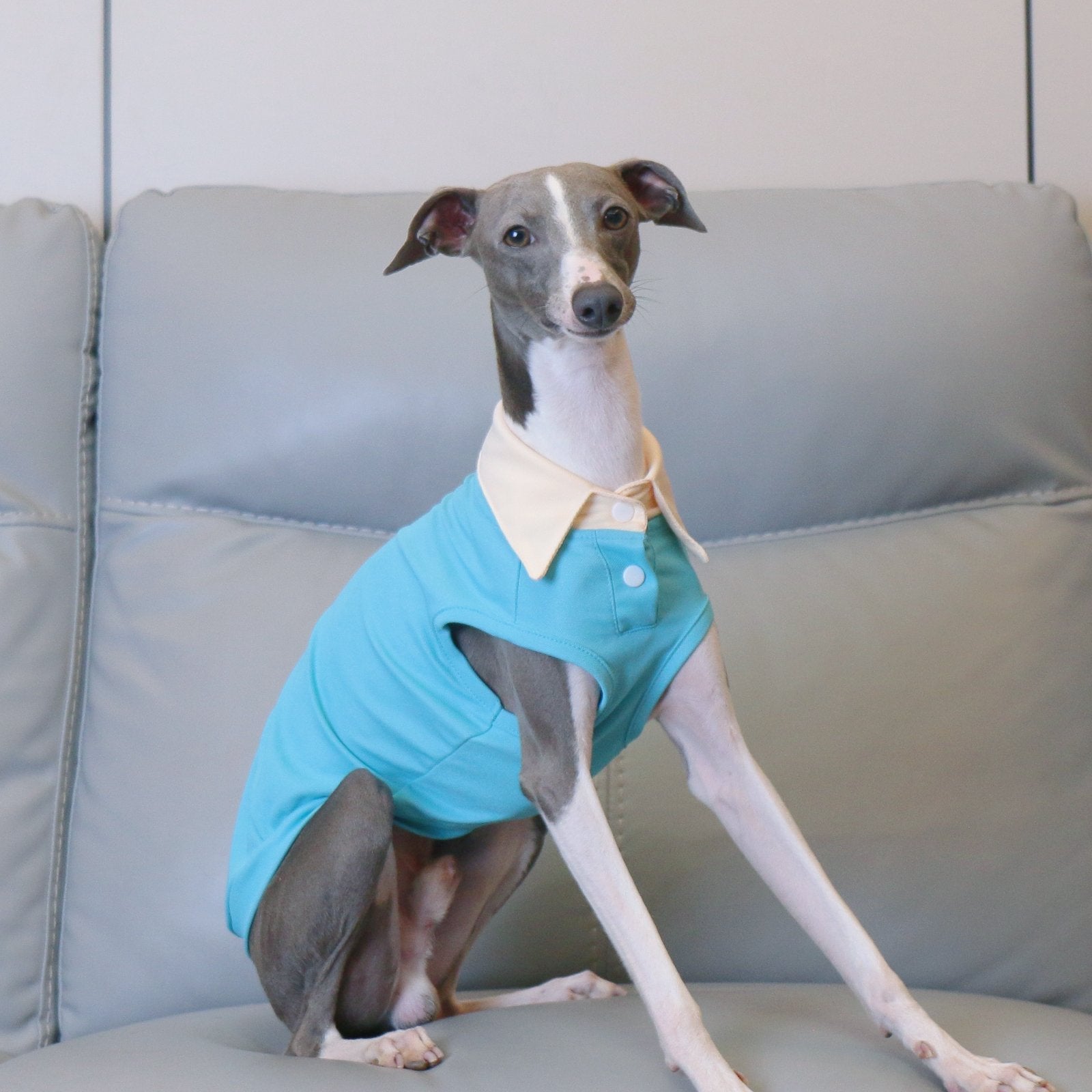 Breathable Summer Italian Greyhound Polo Vest