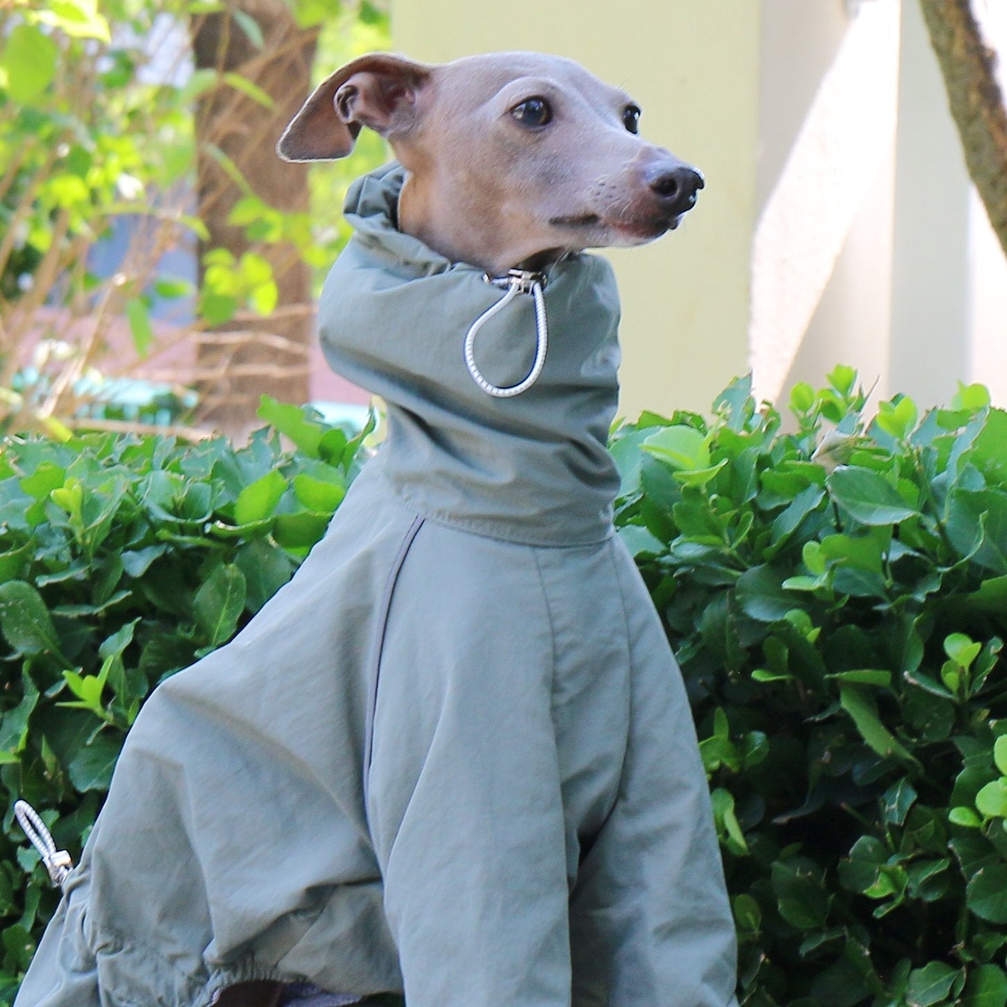 Sunproof Rain Greyhound Zipper Coat