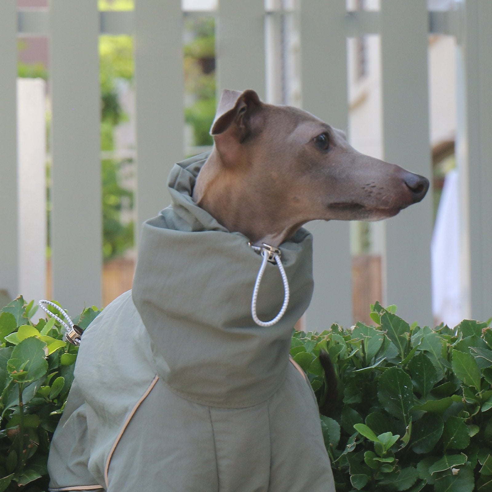 Sunproof Rain Greyhound Zipper Coat
