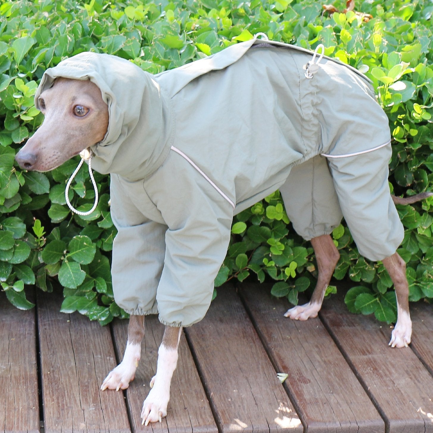 Sunproof Rain Greyhound Zipper Coat