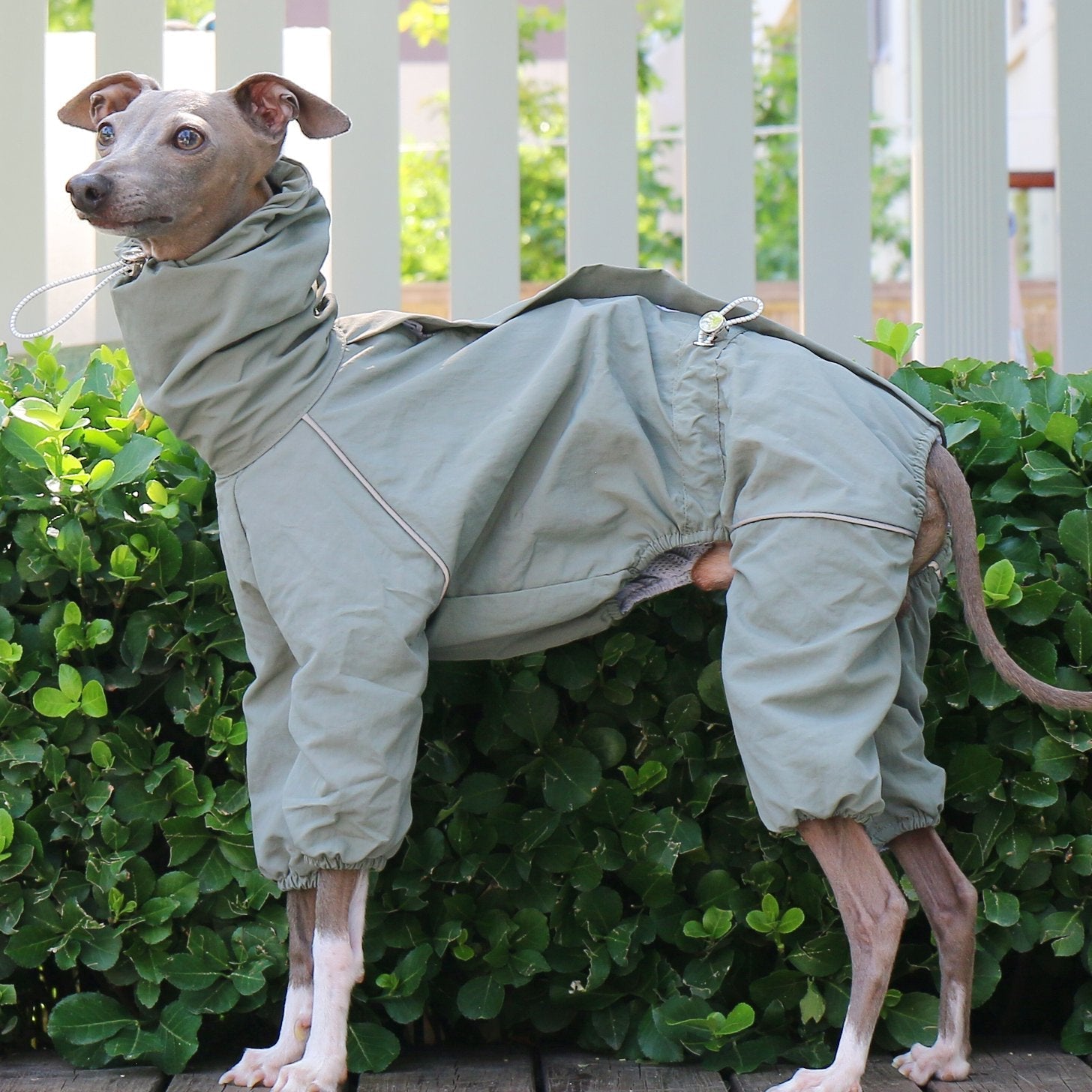 Sunproof Rain Greyhound Zipper Coat
