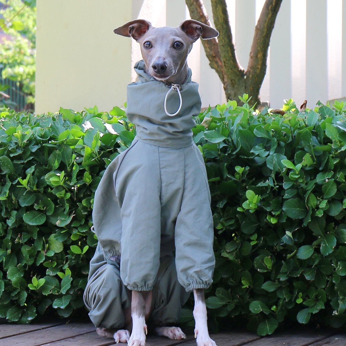 Sunproof Rain Greyhound Zipper Coat