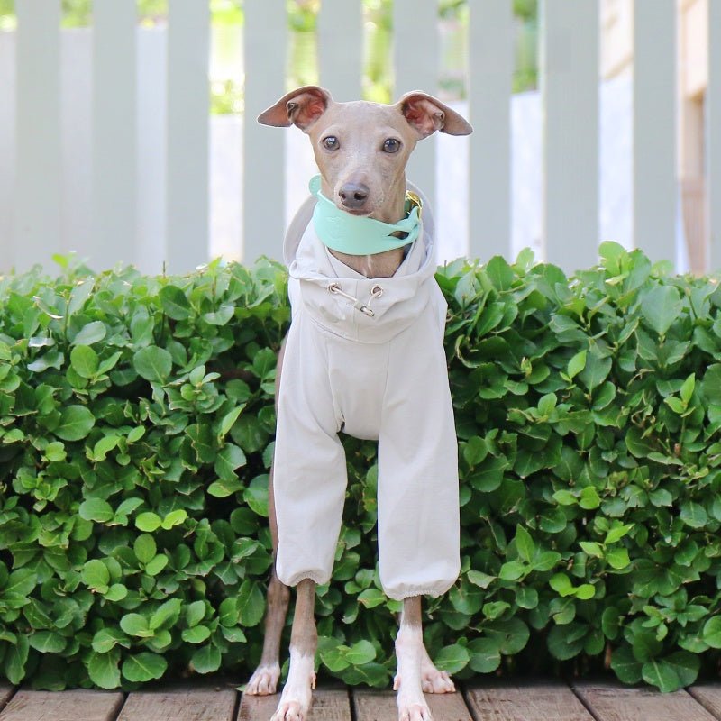 Sunproof Waterproof Whippet Terrier Hooded Jacket