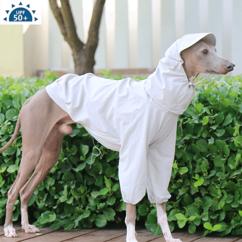 Sunproof Waterproof Whippet Terrier Hooded Jacket