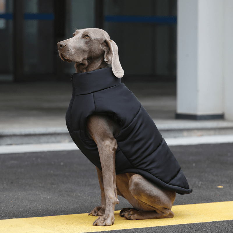 Winter Warm Big Dog Vest