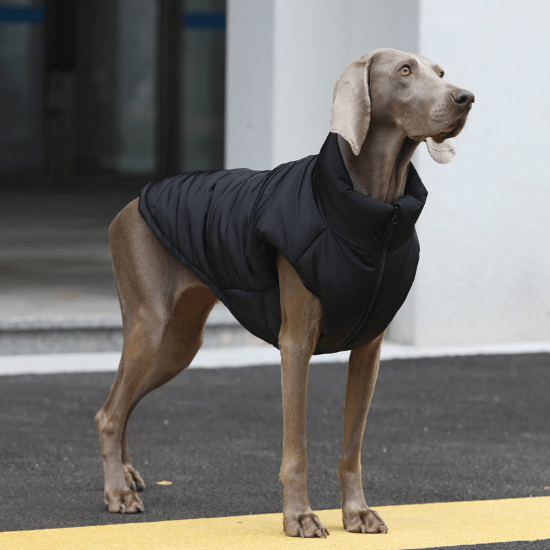 Winter Warm Big Dog Vest