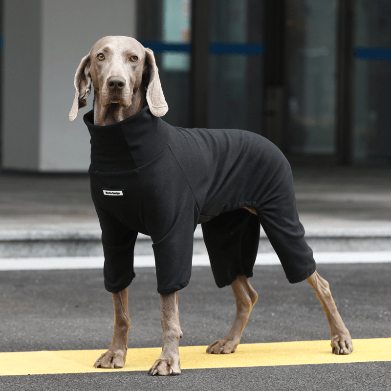 Winter Warm Big Dog Vest