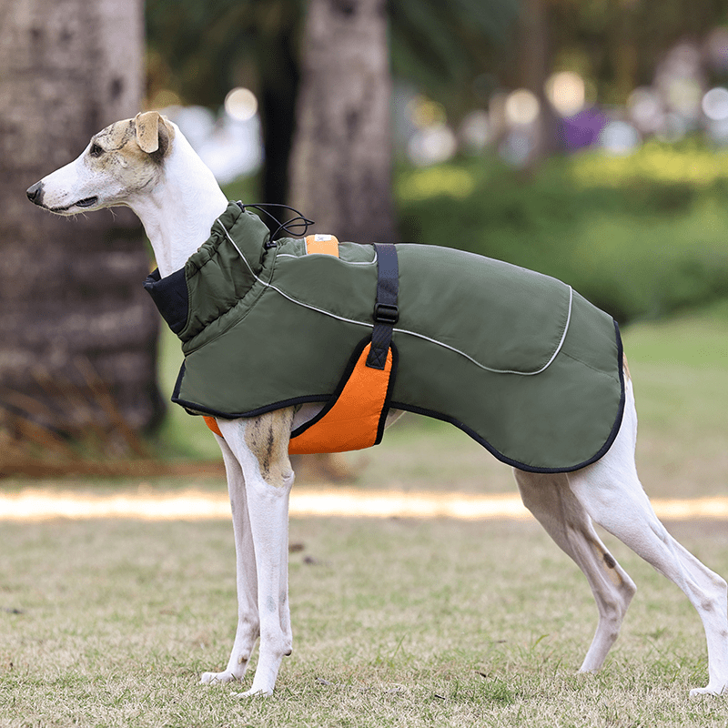Warm Windproof Whippet Dog Vest